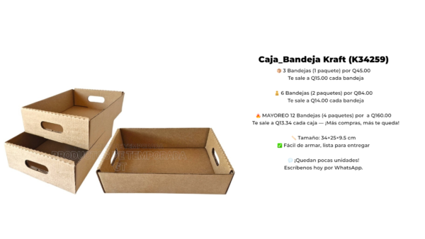 Caja_Bandeja Kraft (K34259)